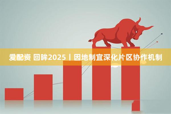 爱配资 回眸2025丨因地制宜深化片区协作机制