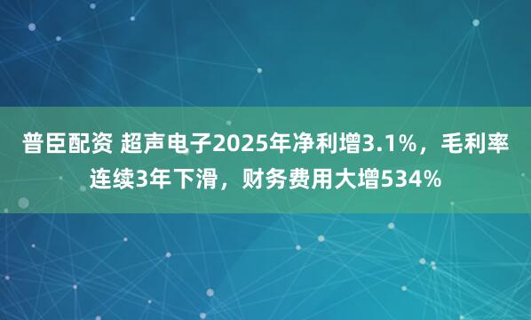 普臣配资 超声电子2025年净利增3.1%，毛利率连续3年下滑，财务费用大增534%